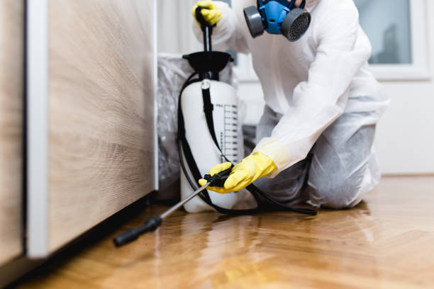 Best Wasp Removal Services  in Alma, GA