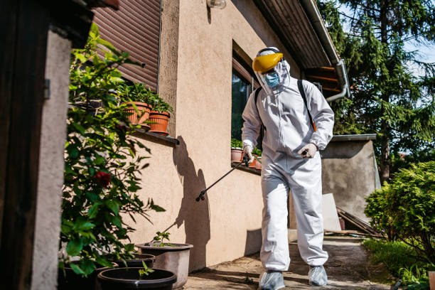 Best Affordable Pest Control Services  in Alma, GA
