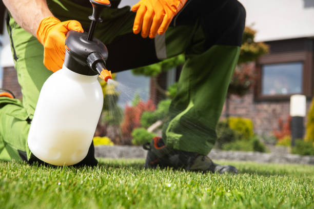 Best Pest Control Treatment  in Alma, GA