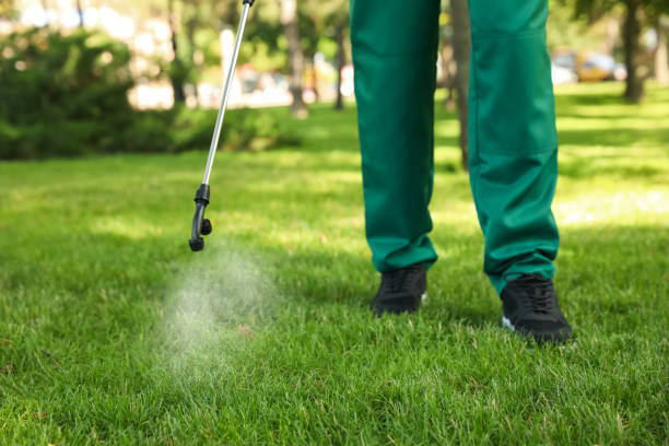 Best Pest Prevention Services  in Alma, GA