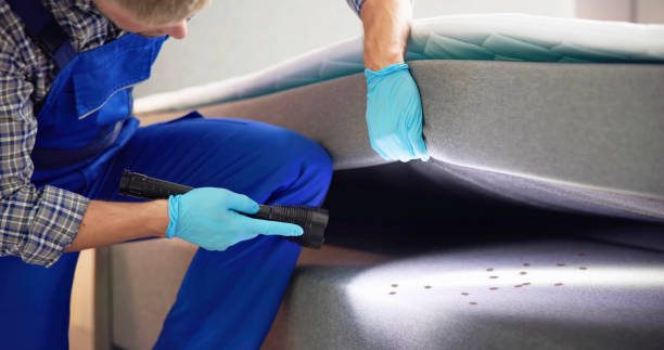 Best Residential Pest Control  in Alma, GA
