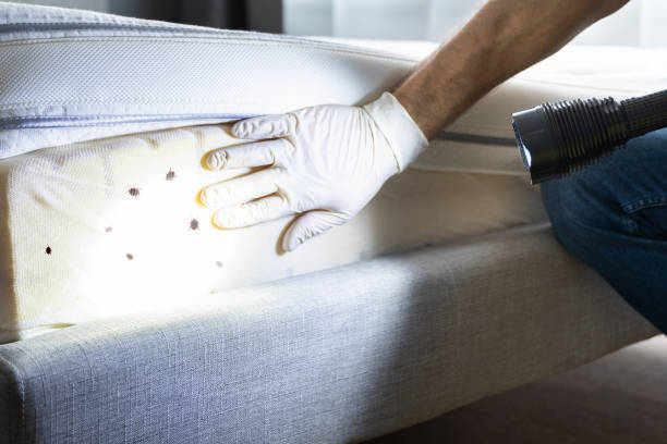 Pest Control Cost in Alma, GA