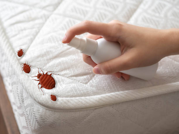 Best Pest Control Near Me  in Alma, GA