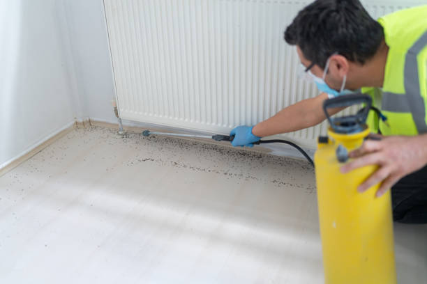 Trusted Alma, GA Pest Control Experts