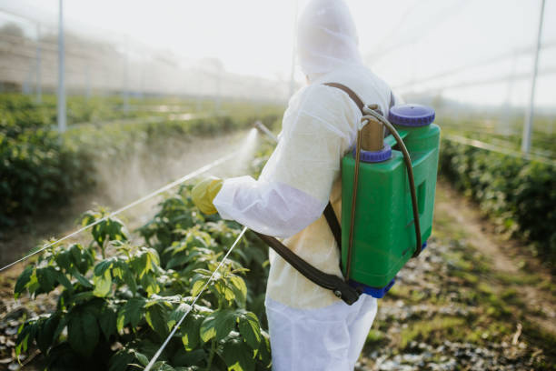  Alma, GA Pest Control Pros